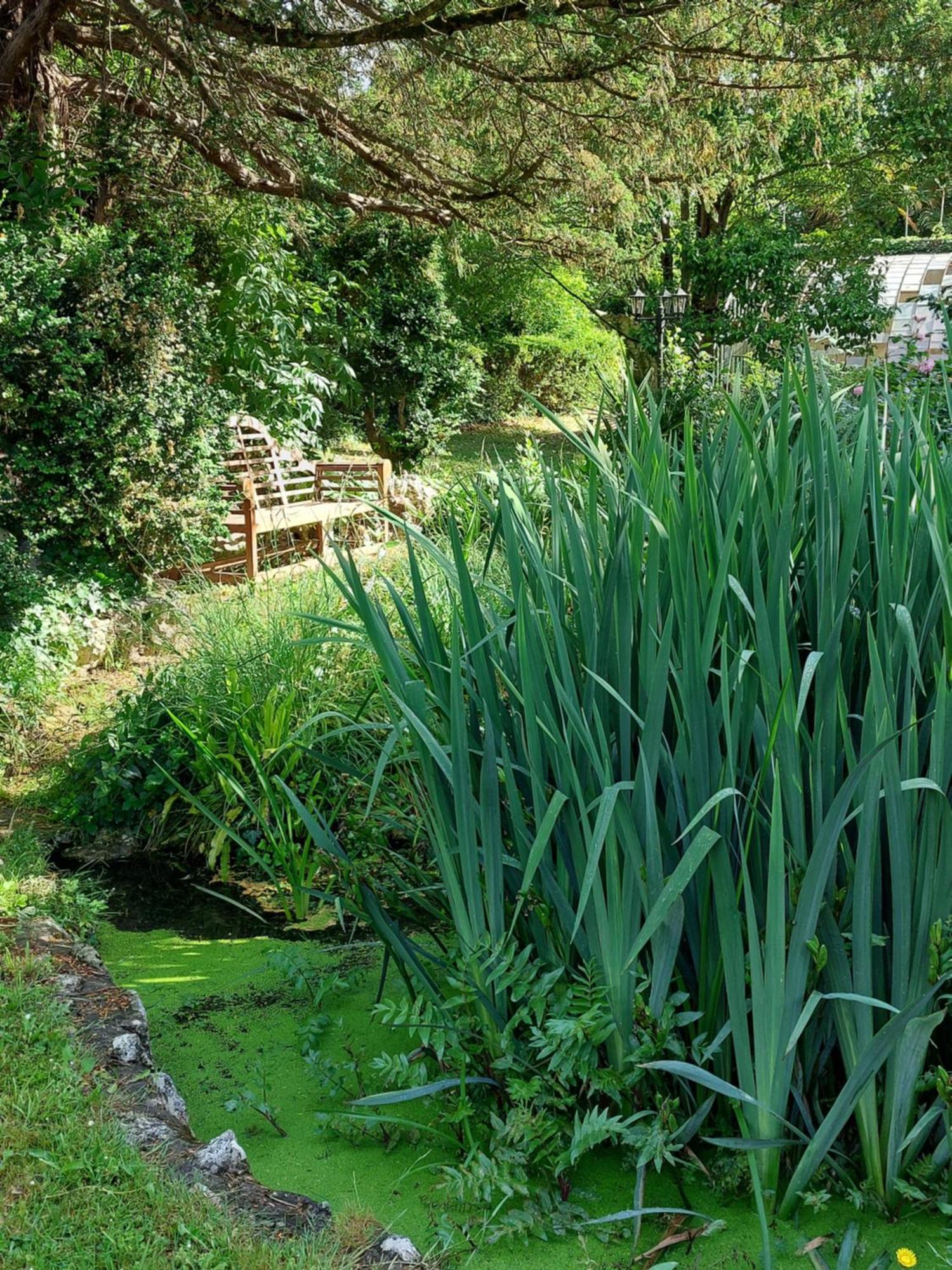 La Gueriniere L'Anglaise Bed and Breakfast Châteauneuf-sur-Charente Εξωτερικό φωτογραφία